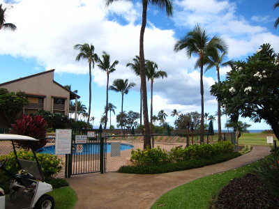 Pool with ocean in background