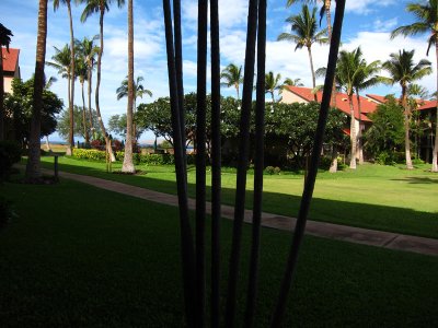 View of Putting Green, Pool and Ocean