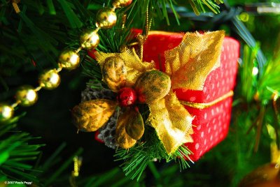 GALLERY:The Spirit of the Season,Christmas 2007
