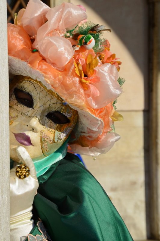 Carnevale di Venezia-192.jpg