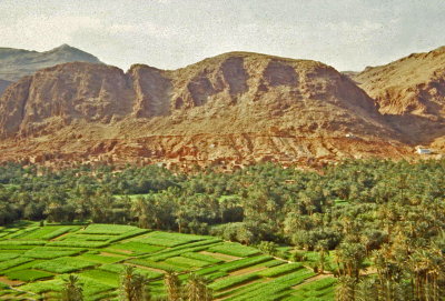 Maroc-059.jpg