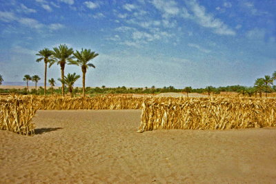 Maroc-071.jpg