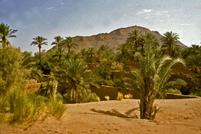Maroc-075.jpg