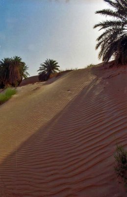 Mauritanie-006.jpg