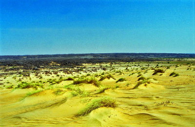 Mauritanie-008.jpg