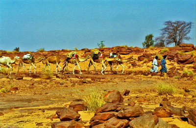 Mauritanie-015.jpg