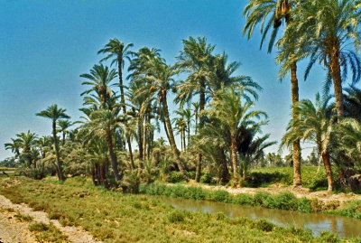 Egypte-131.jpg