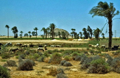 Egypte-146.jpg