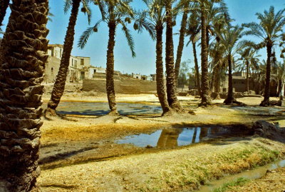 Egypte-150.jpg