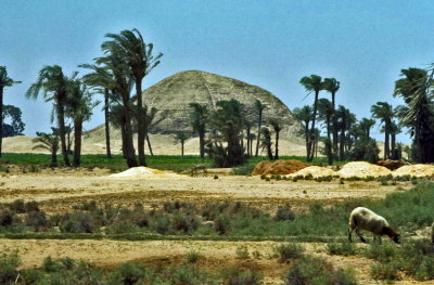 Egypte-152.jpg