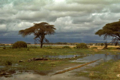 Kenya-227.jpg