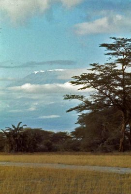 Kenya-418.jpg
