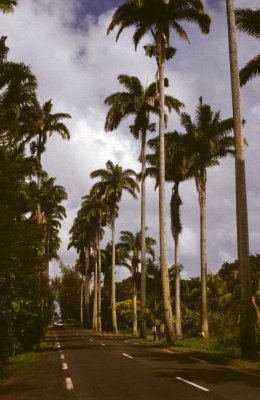 Guadeloupe-008.jpg