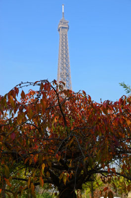 Tour Eiffel-046.jpg
