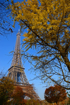 Tour Eiffel-047.jpg
