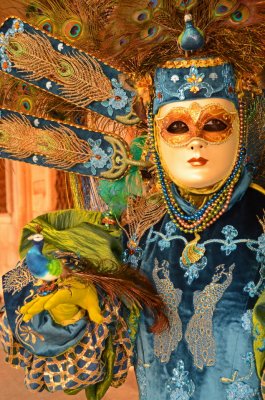 Carnevale di Venezia-189.jpg