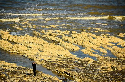 Baie de Somme-031.jpg