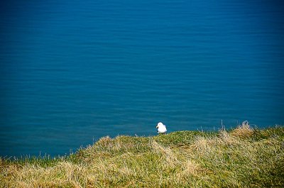 Baie de Somme-047.jpg