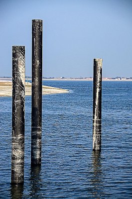 Baie de Somme-108.jpg