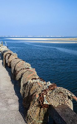 Baie de Somme-118.jpg