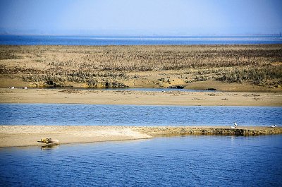 Baie de Somme-119.jpg