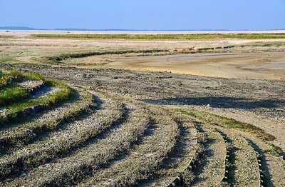 Baie de Somme-123.jpg