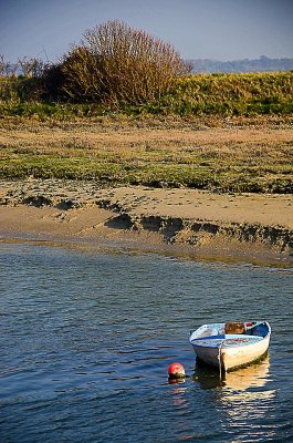 Baie de Somme-126.jpg