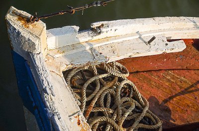 Baie de Somme-127.jpg