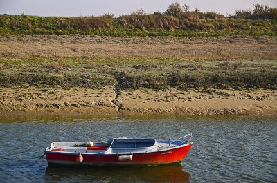 Baie de Somme-132.jpg