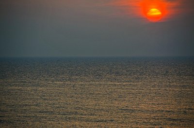 Baie de Somme-140.jpg