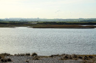 Baie de Somme-141.jpg