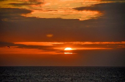 Baie de Somme-142.jpg