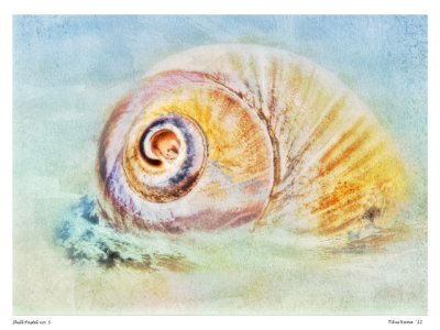 shell_pastel_05.jpg