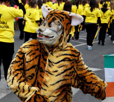 the celtic tiger lives !! .jpg