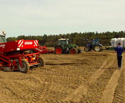 busy field.jpg