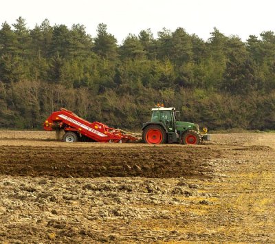 destoning ground .jpg