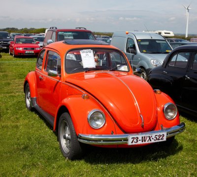 the beetle .jpg