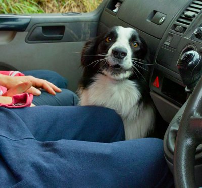 learner driver .jpg