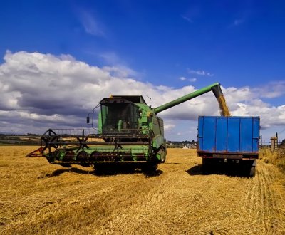 harvesting 6.jpg
