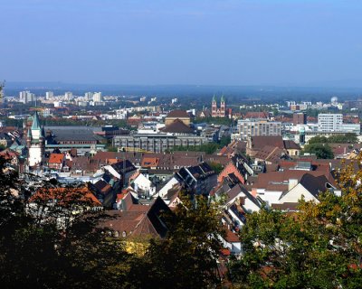 freiburg from  the mount 3.jpg