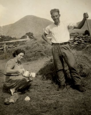 tea in the hayfield  kerry