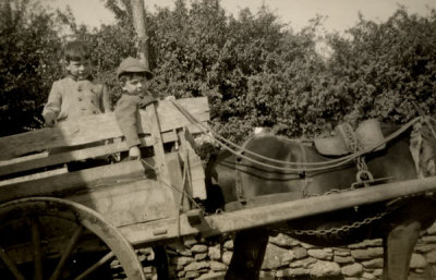 young farmer c 1950.jpg