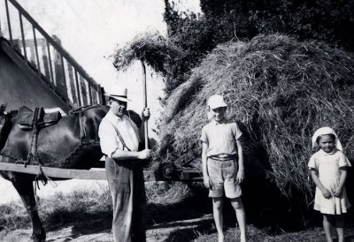 saving the hay 1955.jpg