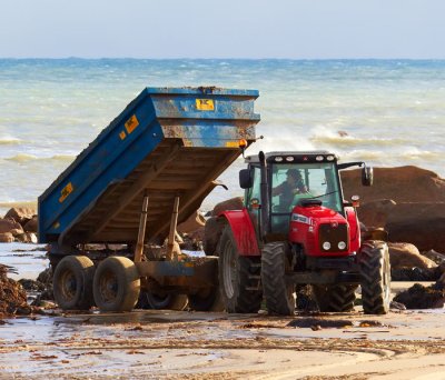 getting rid of seaweed 1.