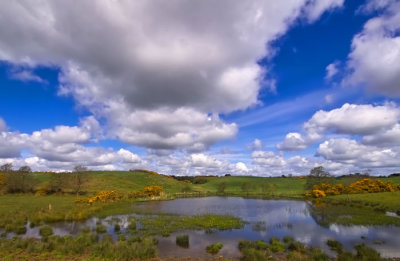 pond and clouds 2.jpg