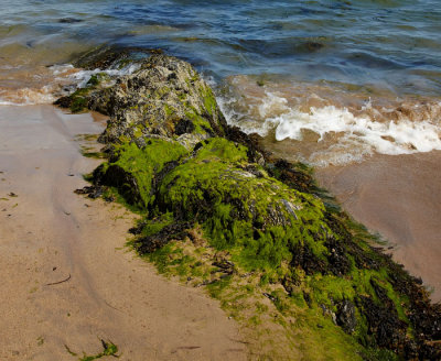 rock by seashore.jpg