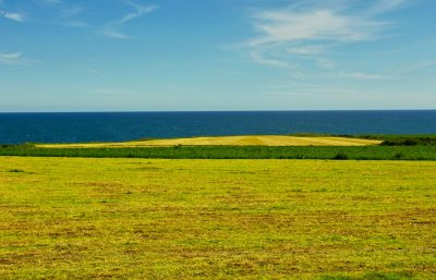 green fields and sea 