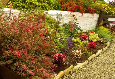 cottage garden 