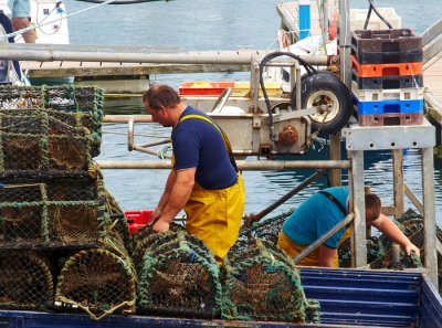 fishermen at work .jpg