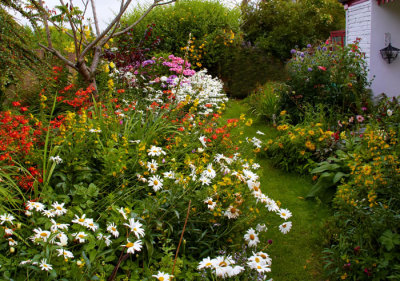 front garden 2.jpg